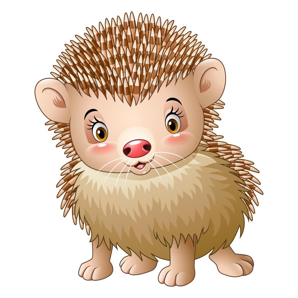 Cute baby hedgehog 10227921 Vector Art at Vecteezy