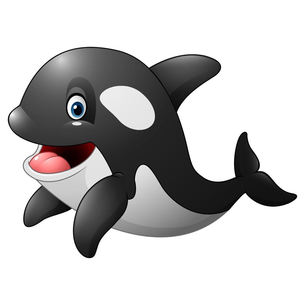 Cartoon killer whale vector