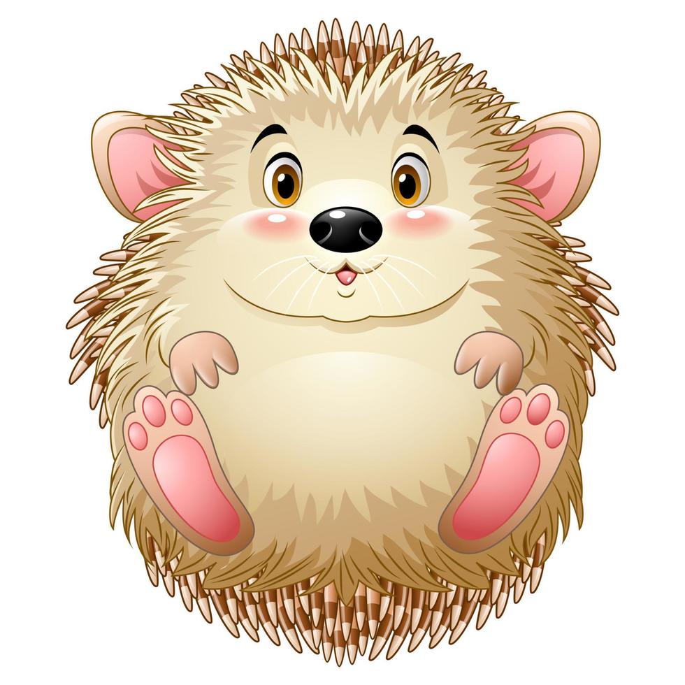 Cute baby hedgehog vector