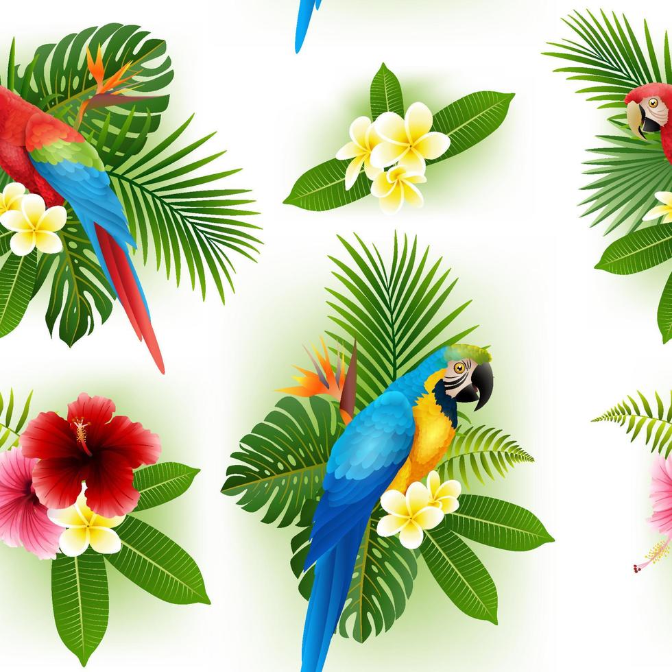 conjunto de colección de flores y pájaros tropicales vector