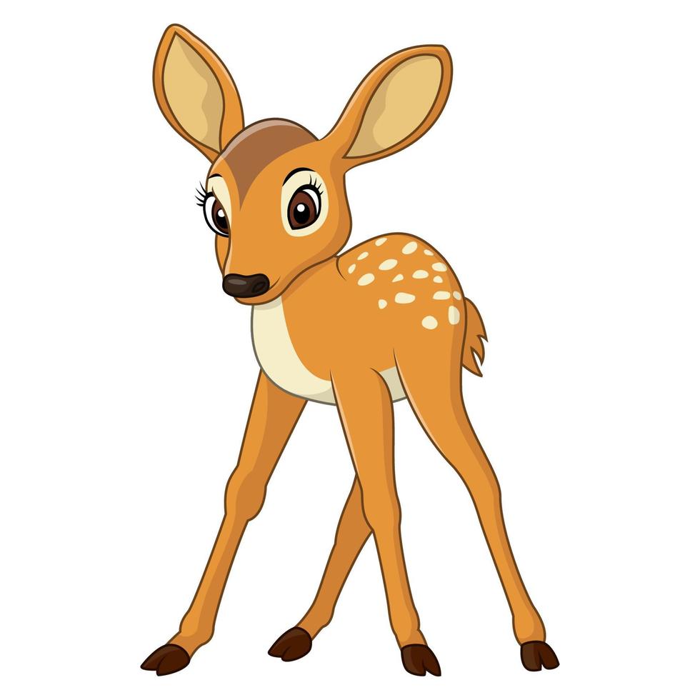 Cute baby deer vector