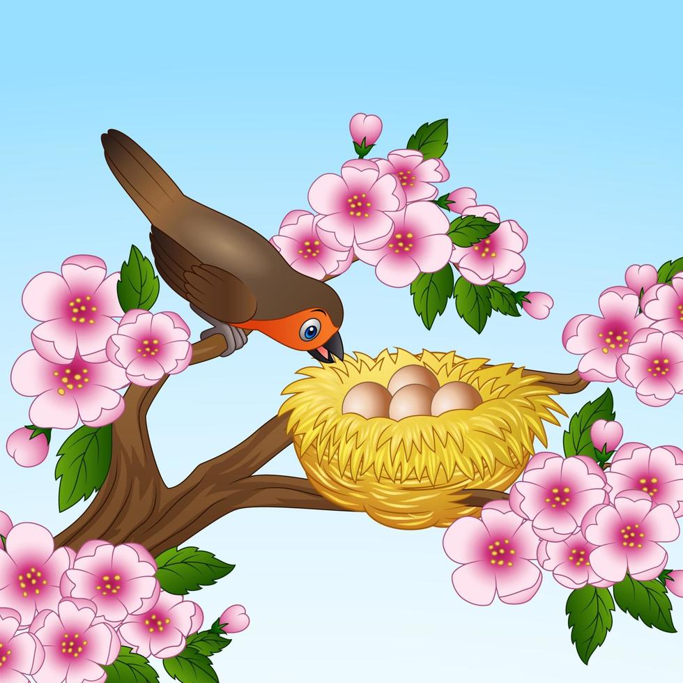 Robin with egg in the nest vector