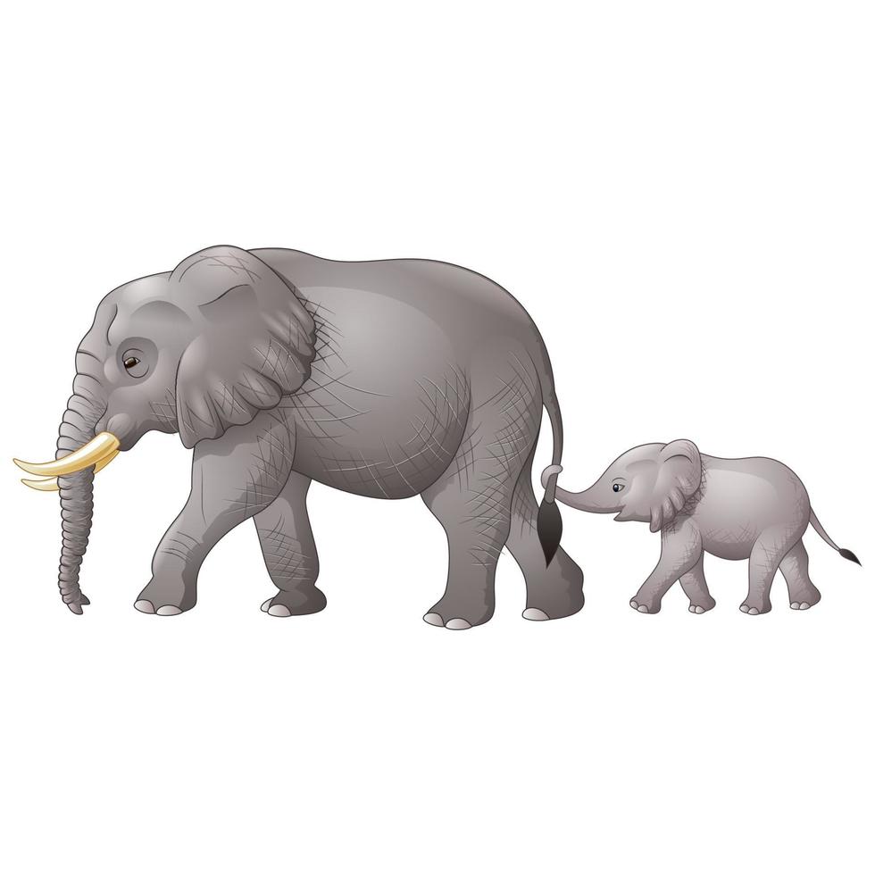 Cute mother and baby elephant vector