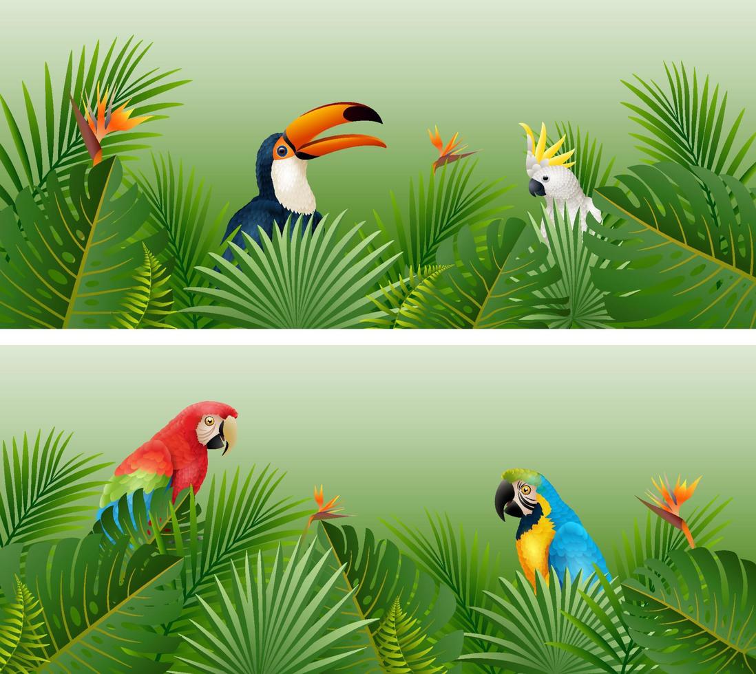banner de hojas de plantas tropicales con pájaros vector