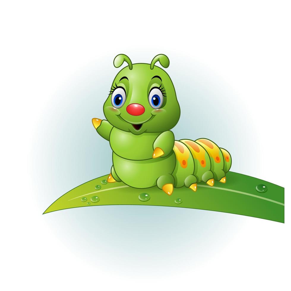 Cartoon green caterpillar on the leaf vector