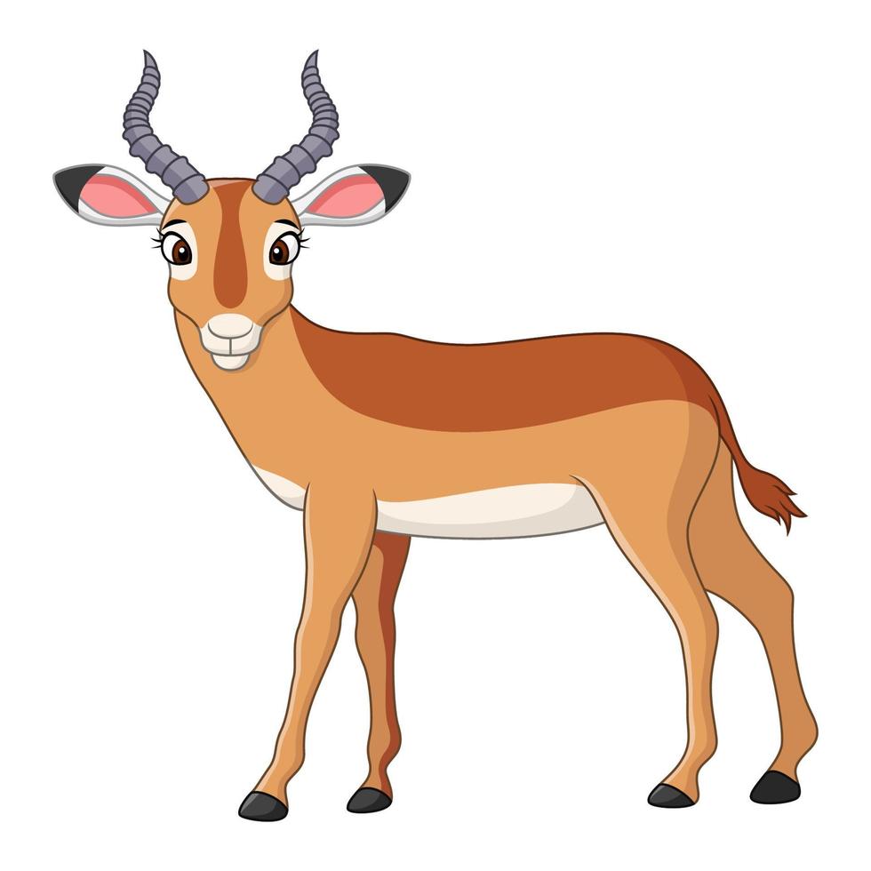 Cartoon cute impala vector