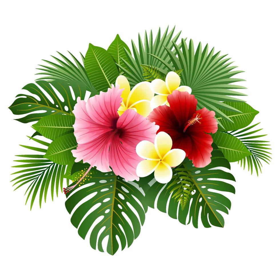 Beautiful tropical flowers and leaves vector