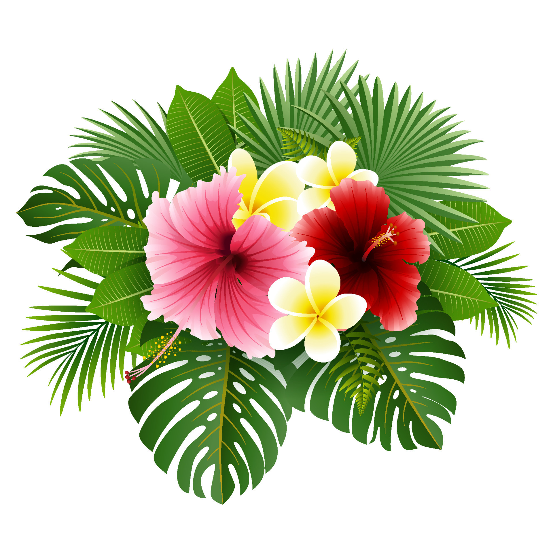 Beautiful tropical flowers and leaves 10228256 Vector Art at Vecteezy