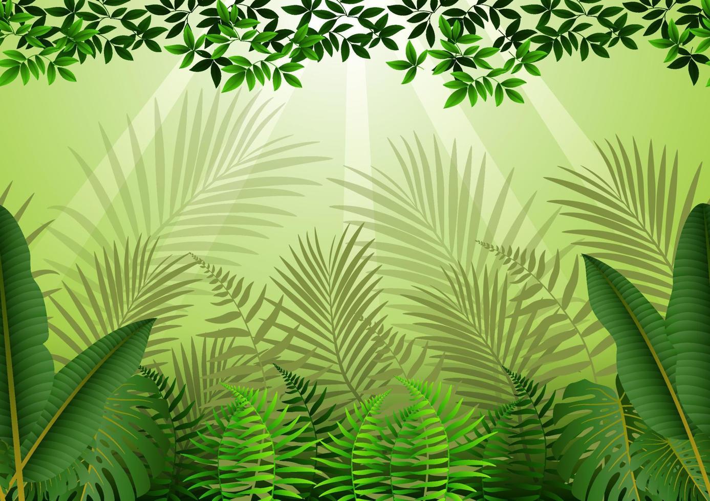 Tropical forest background vector