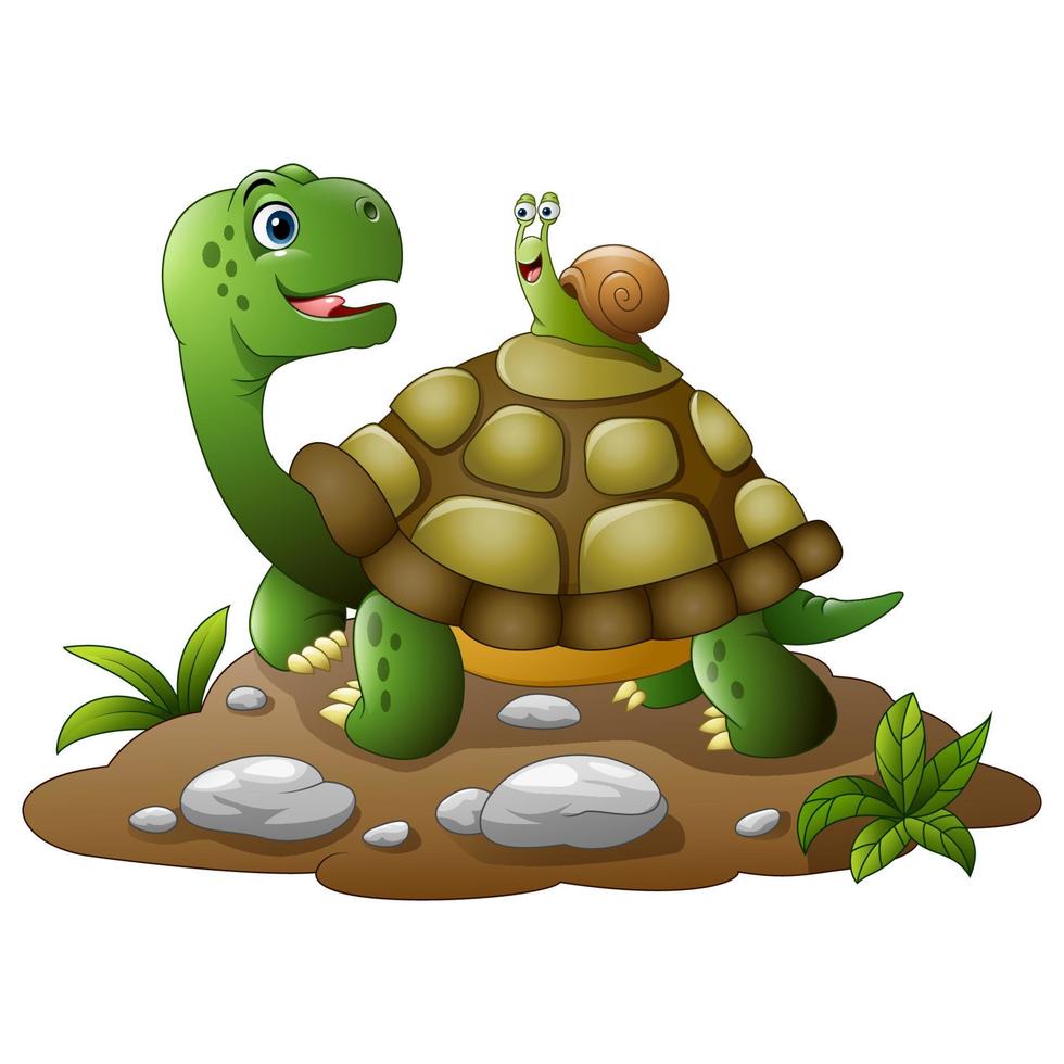 cartoon turtle and frog vector