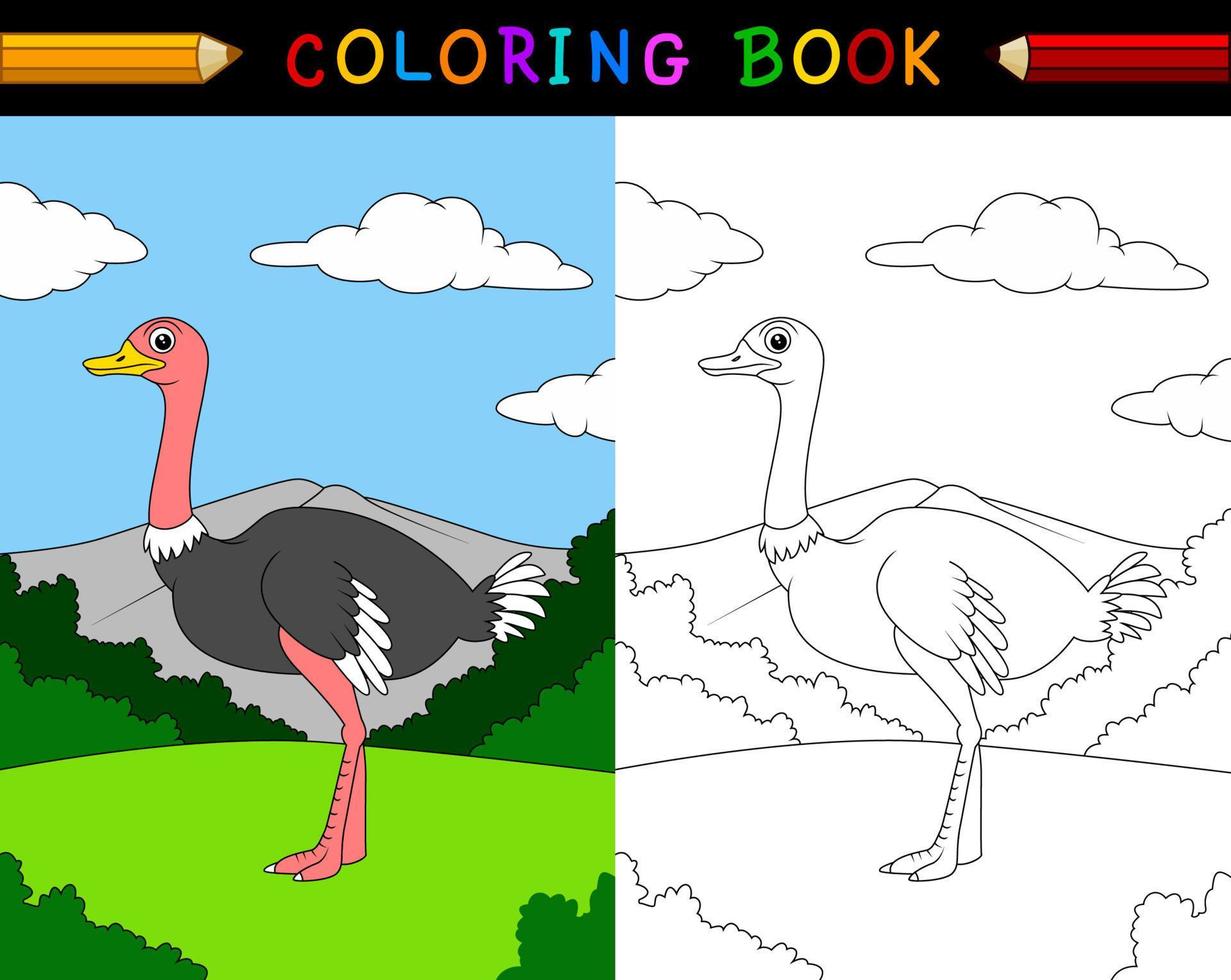 Cartoon ostrich coloring book vector