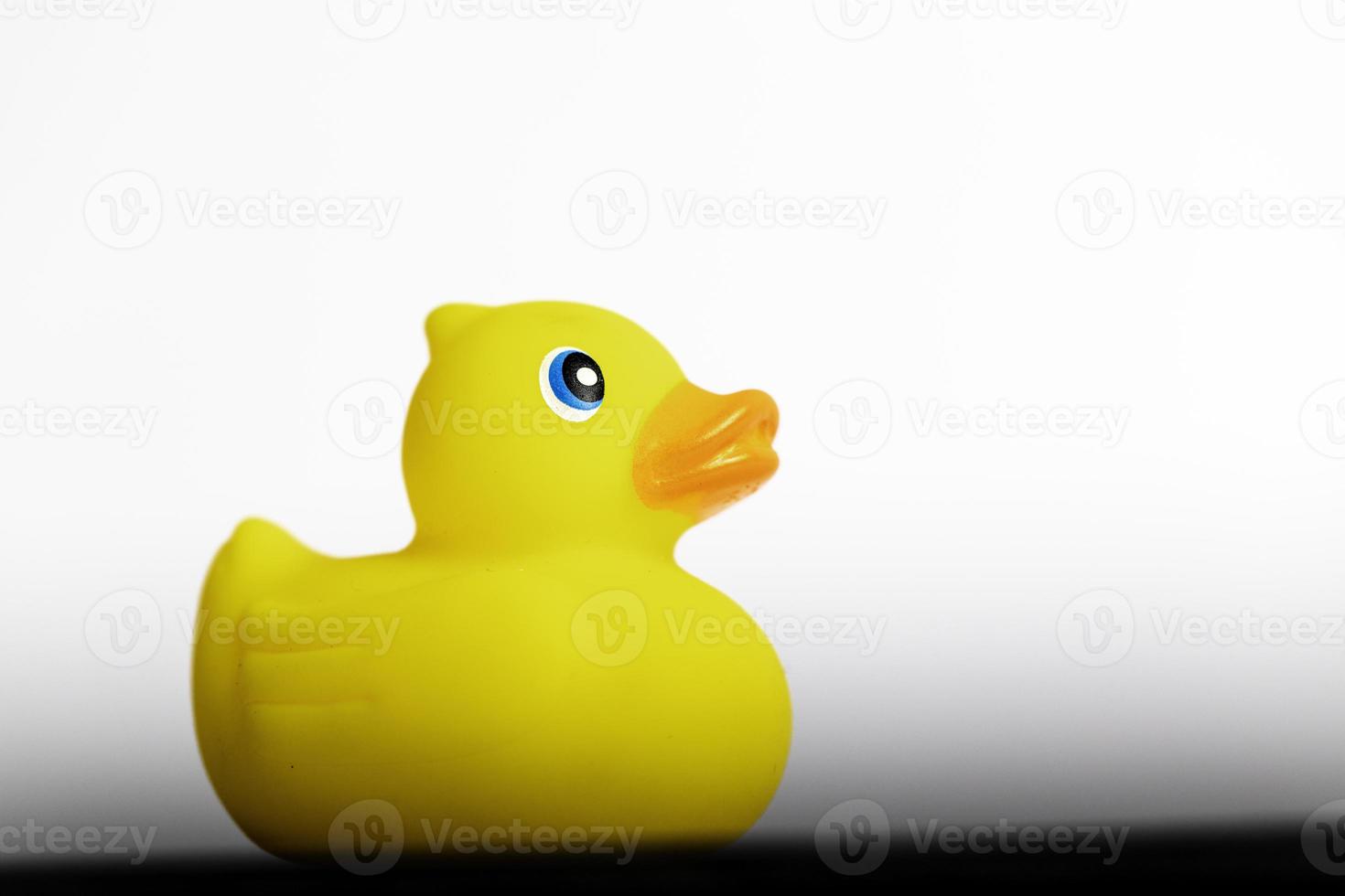 Yellow Rubber Duck photo