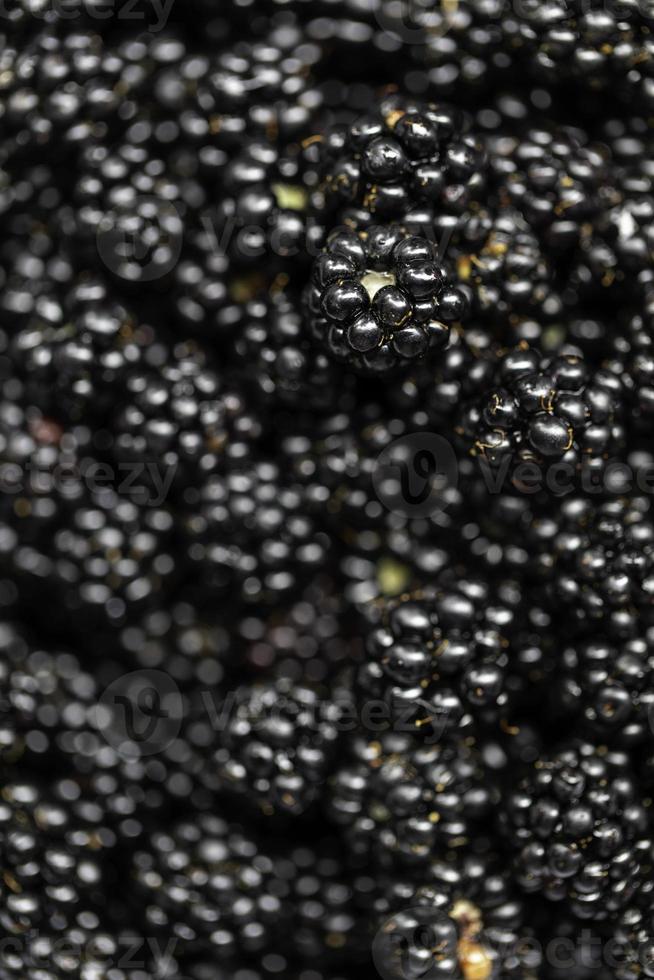 moras en un tazón macro foto