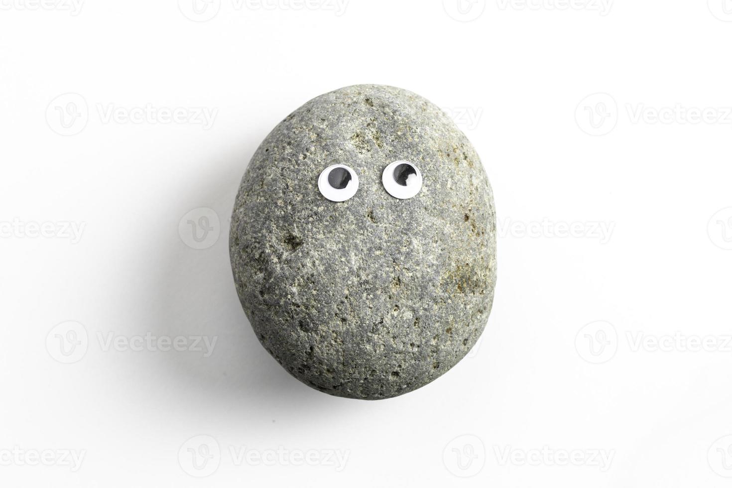 Pet Rock With Googly Eyes photo