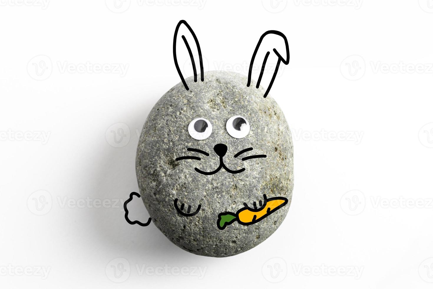 Pet Rock With Googly Eyes photo