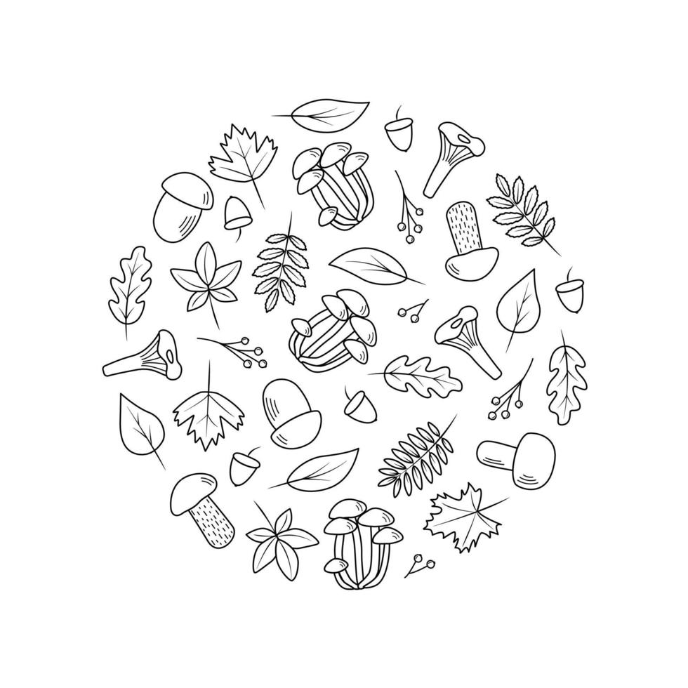 Doodle set of tree leaves and mushrooms, autumn concept, vector illustration.