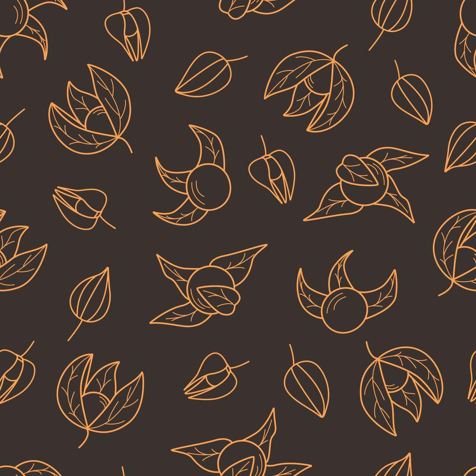 Seamless pattern of physalis flashlight, wallpaper contour of beautiful autumn berries and physalis leaves vector