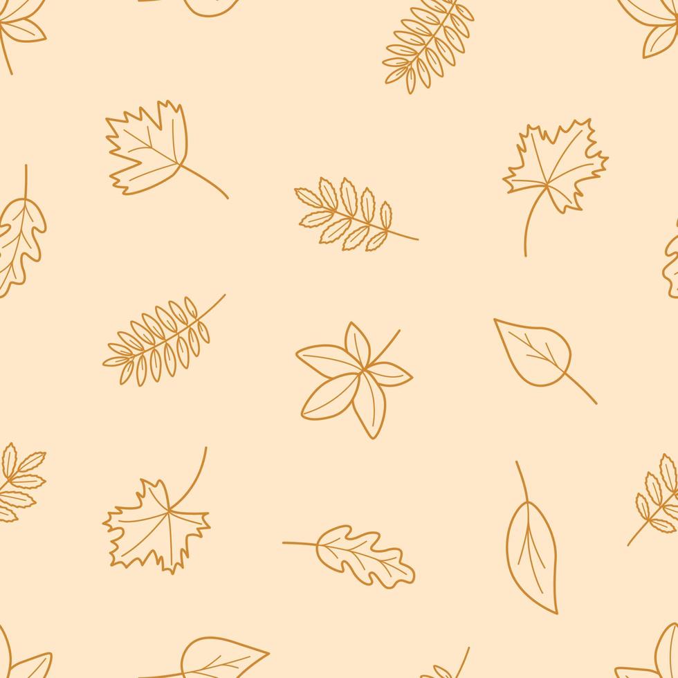 Vector seamless pattern with autumn outline leaves of different trees