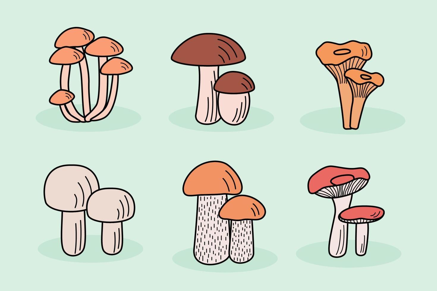 Set of mushroom icons vector. Illustration of boletus, chanterelles, honey mushrooms, aspen mushroom and russula vector