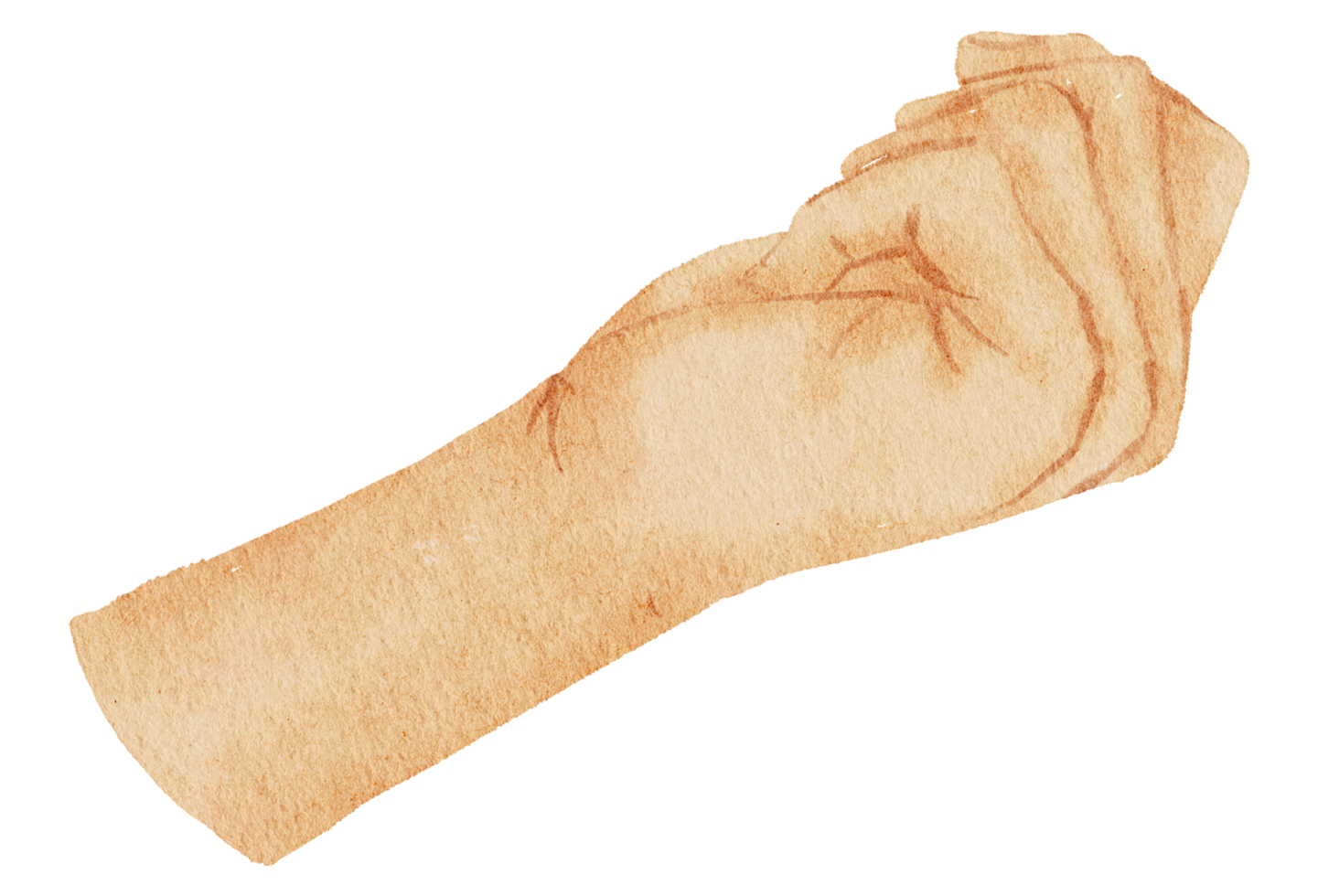 Watercolor hands gesture png