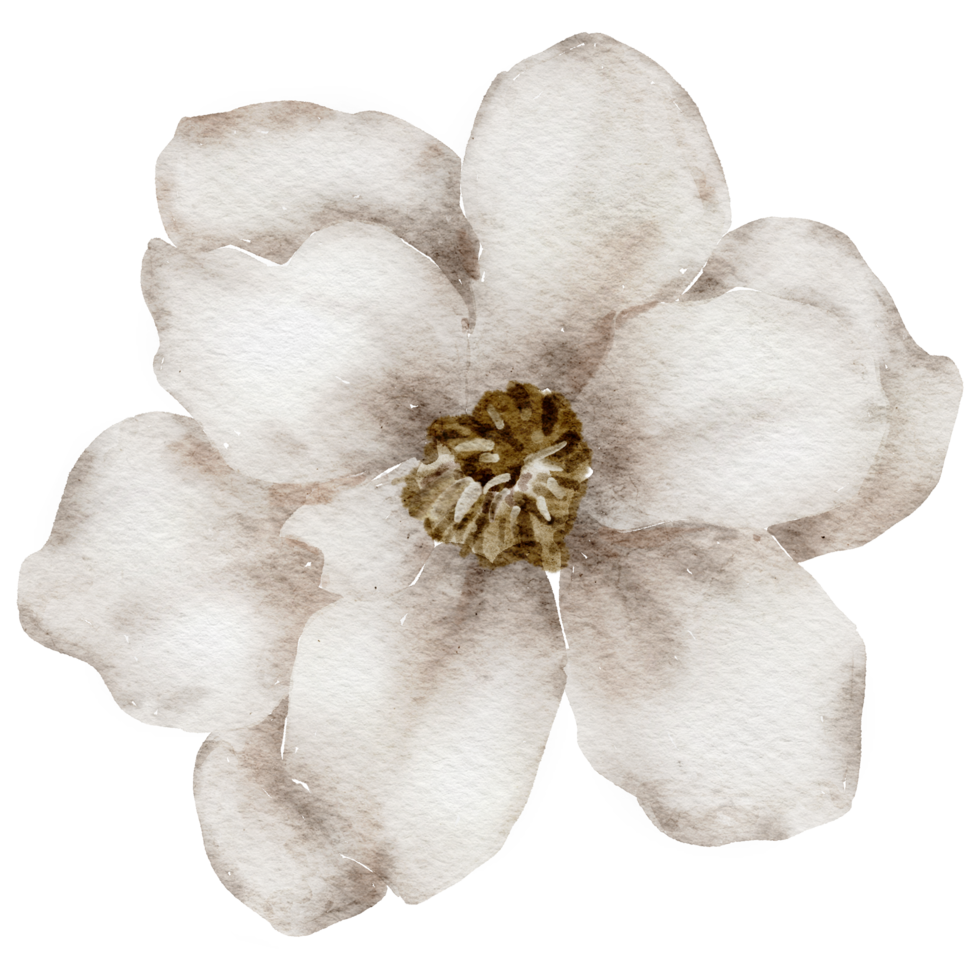 élément de fleur fleur de mariage aquarelle png