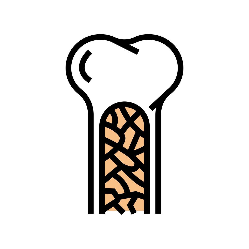 bone marrow color icon vector illustration