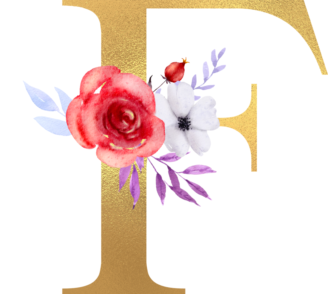 fleurs aquarelles avec alphabet or png