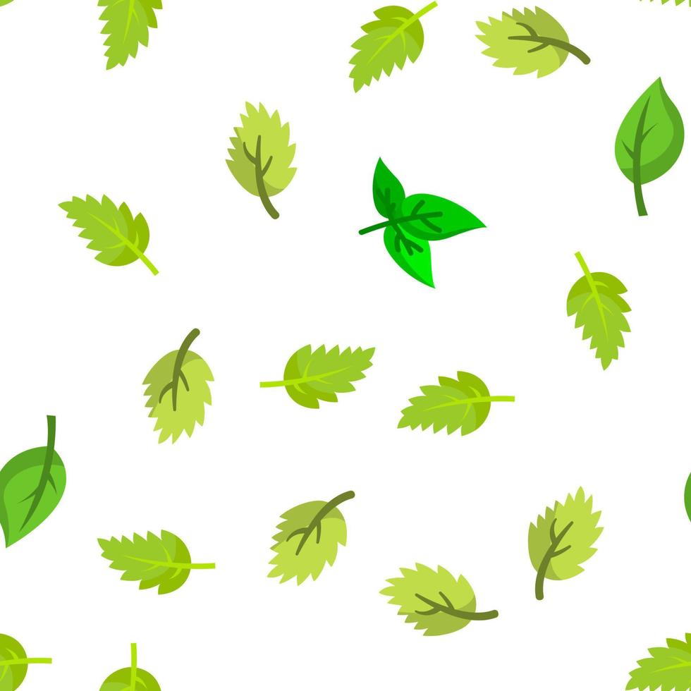 hojas de albahaca patrón transparente de vector