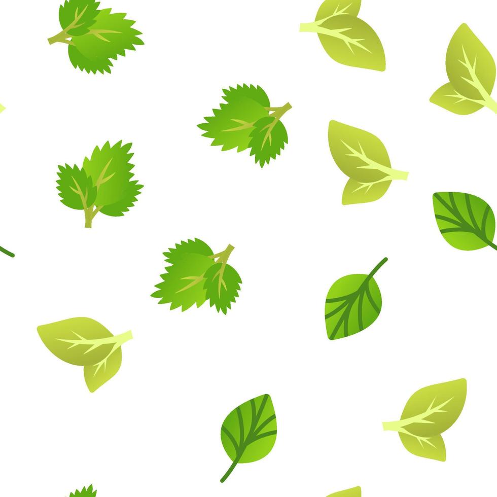 Basil Leaves Vector Seamless Pattern