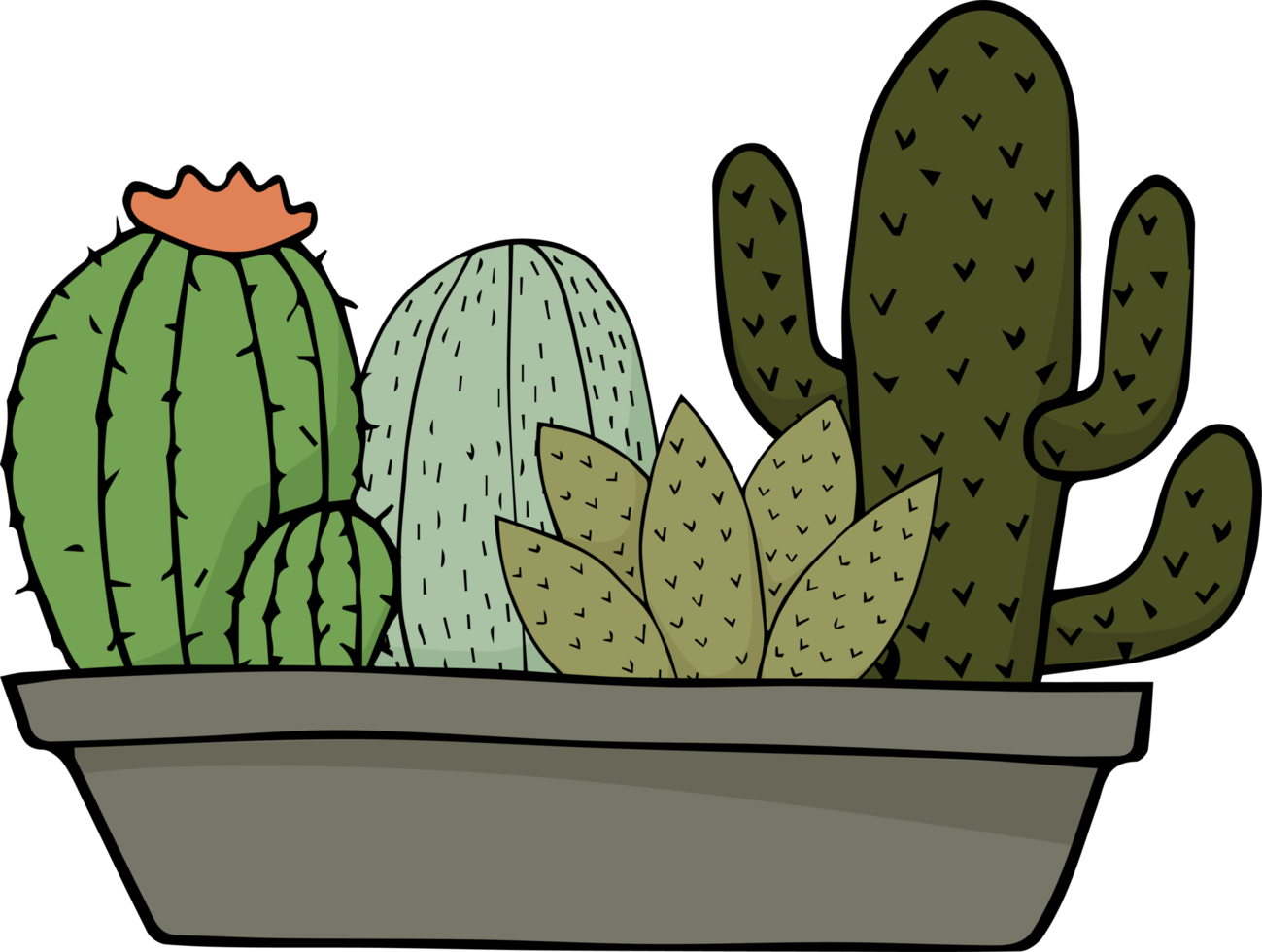 Free dibujado a mano de dibujos animados de cactus 10232219 PNG with  Transparent Background