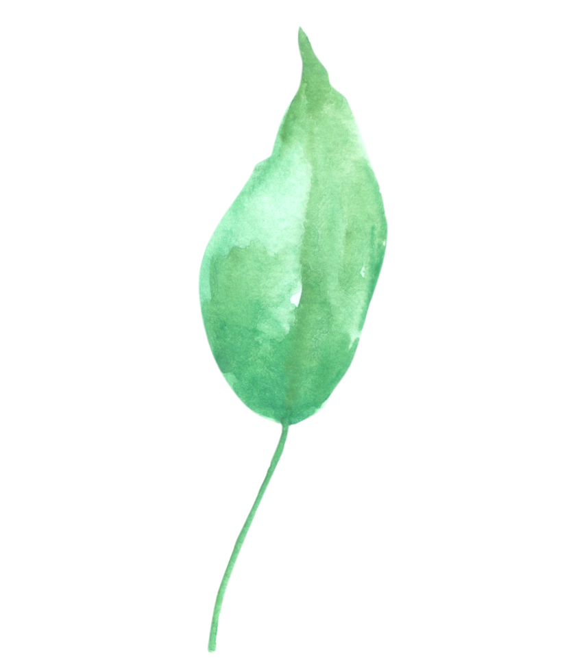 Green Leaf Element watercolor png