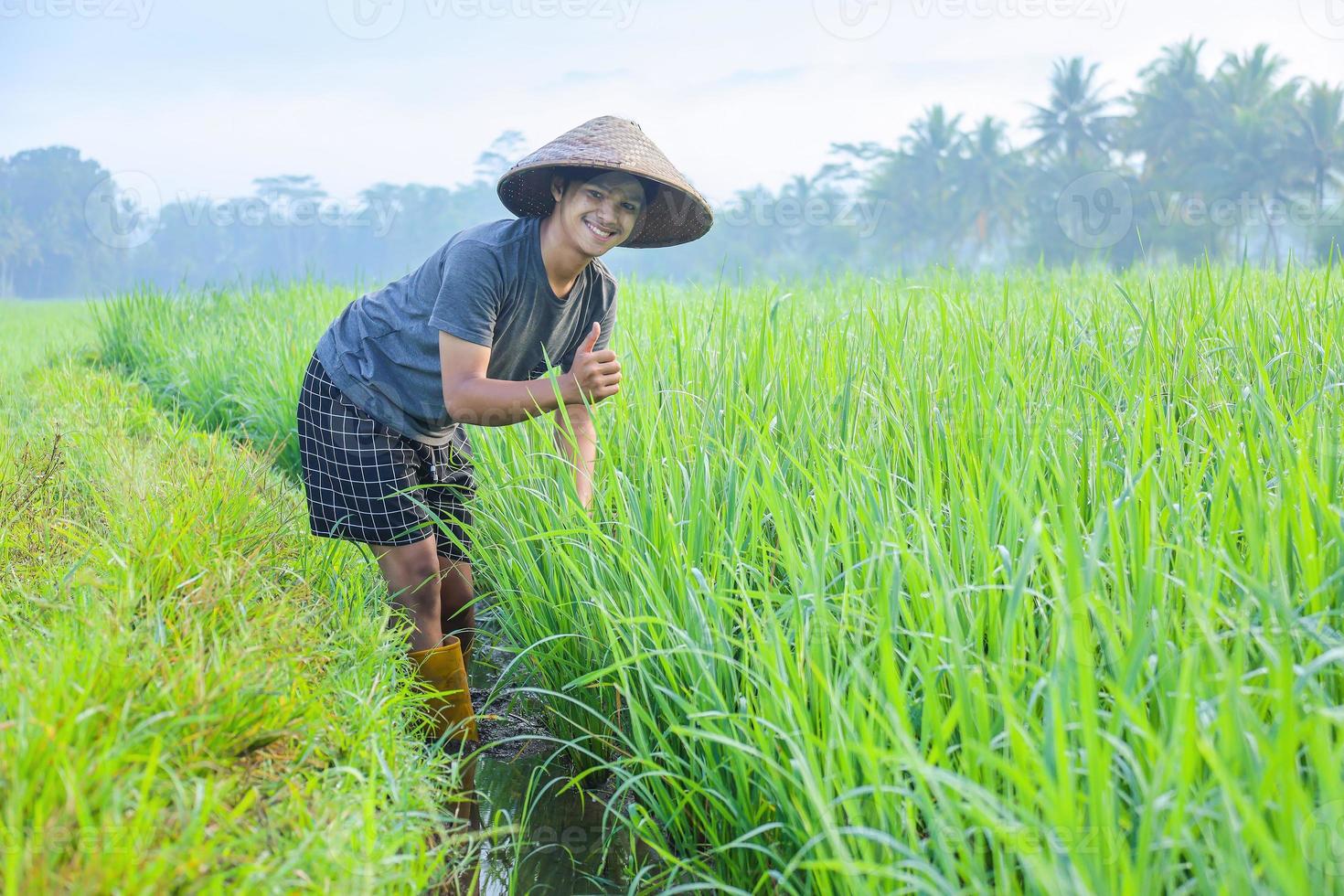 Attractive cheerful young Asian farmer bend down and smiling showing thumb up at the rice field. Modern agriculture concept. photo