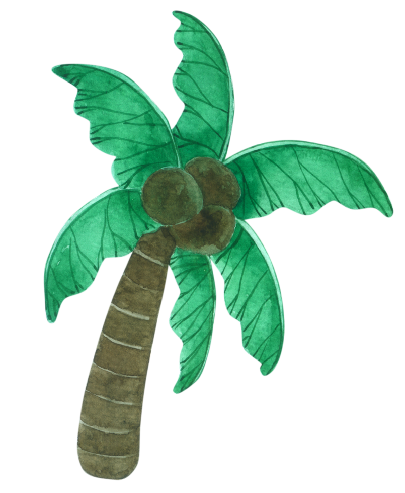 elemento de acuarela de verano png