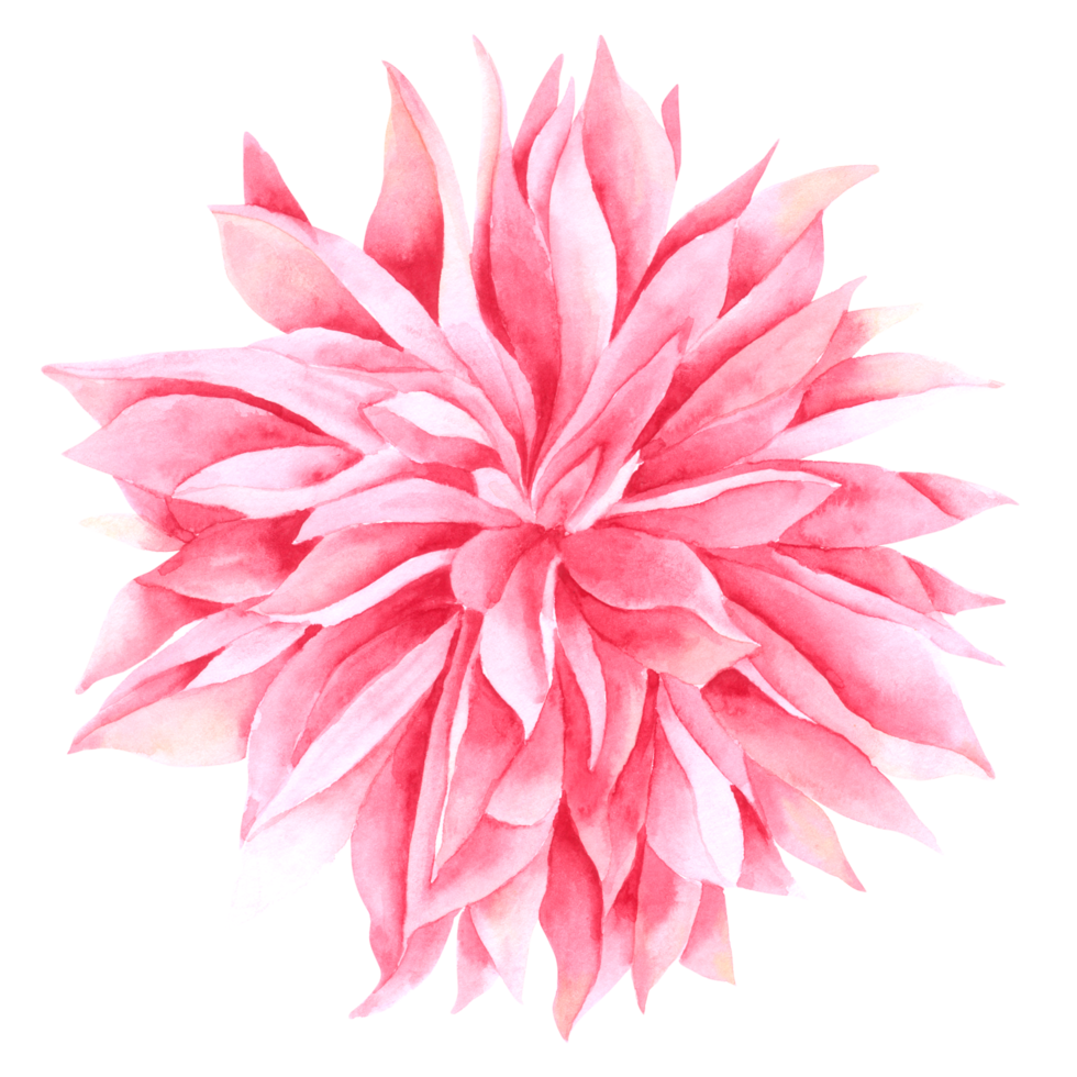 Blumenelement Aquarell Hochzeitsblume png