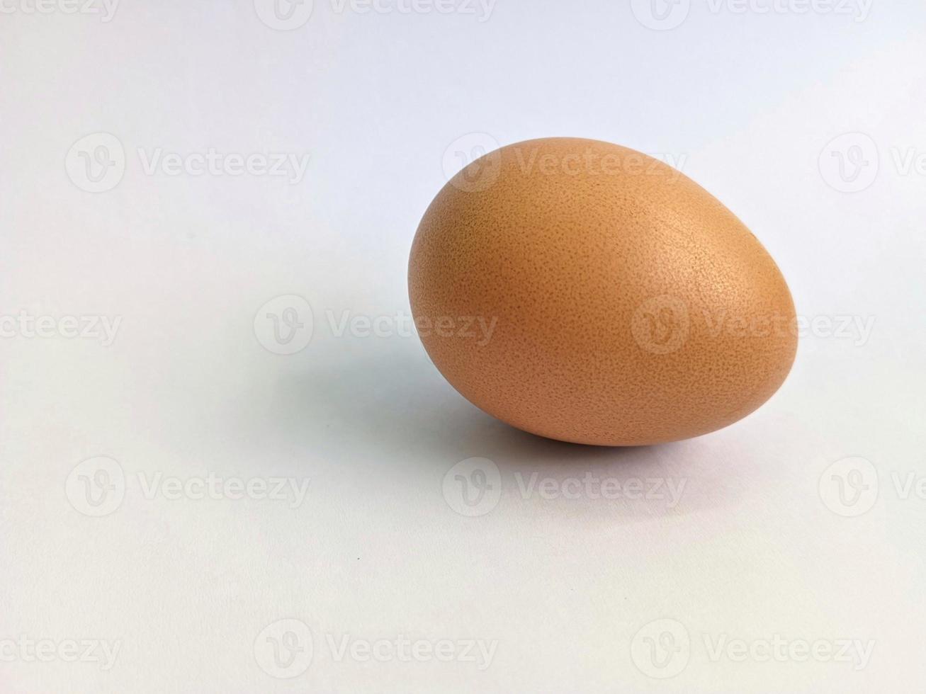 an egg isolated on a white background photo