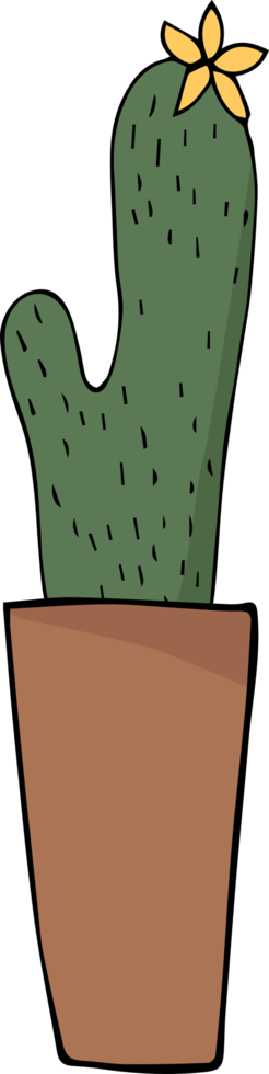 Cactus cartoon hand drawn png