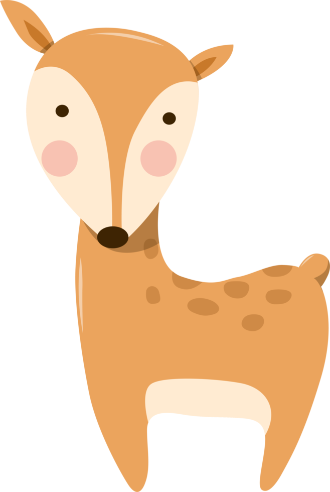cartoon cute for kid png