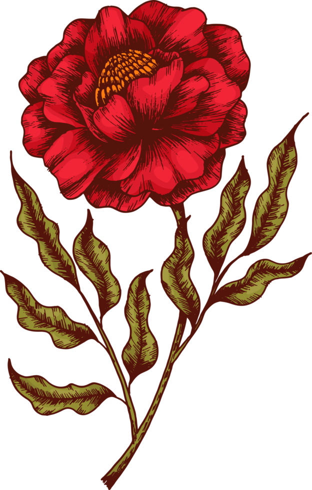 dibujar a mano boceto de flores y hojas png