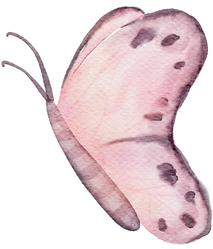 pintura de mano de acuarela de mariposa png