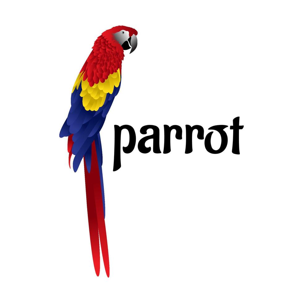 beautiful colorful parrot bird vector illustration