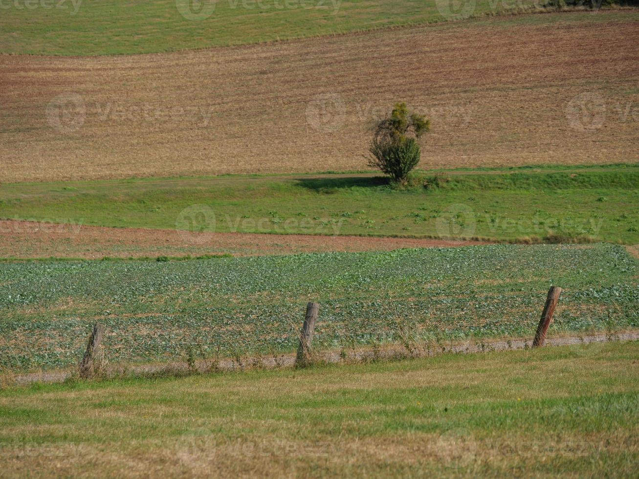 the city of Waldeck and the reservoir in germany photo