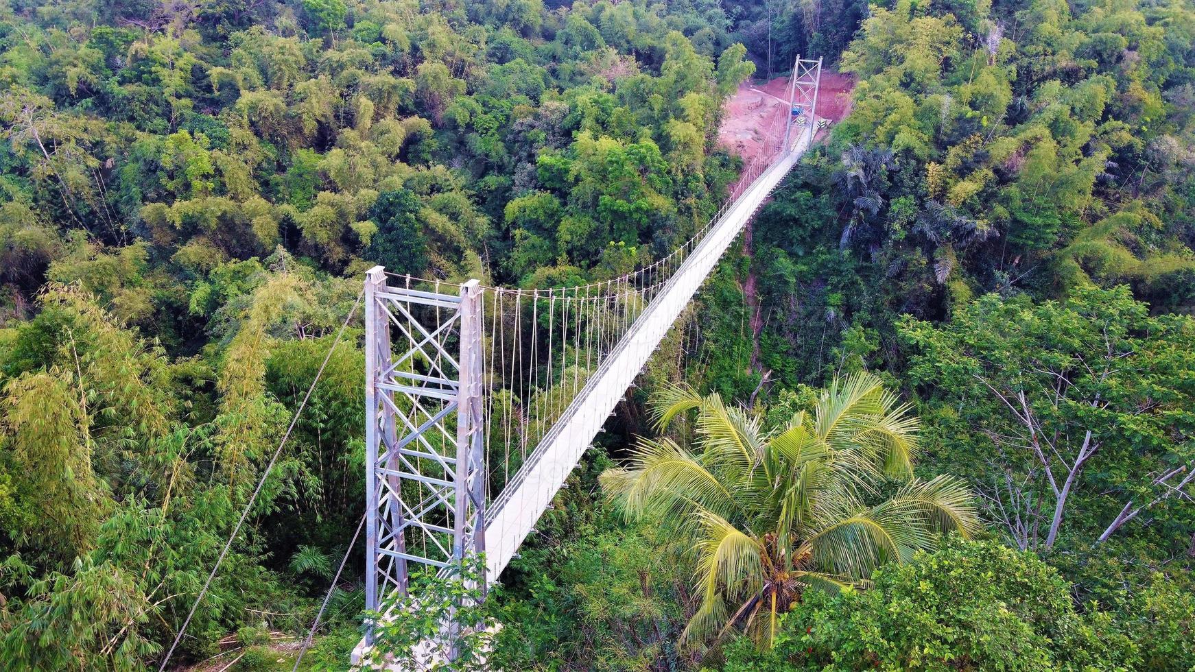 Beautiful aerial view, Suspension bridge in tropical forest. photo