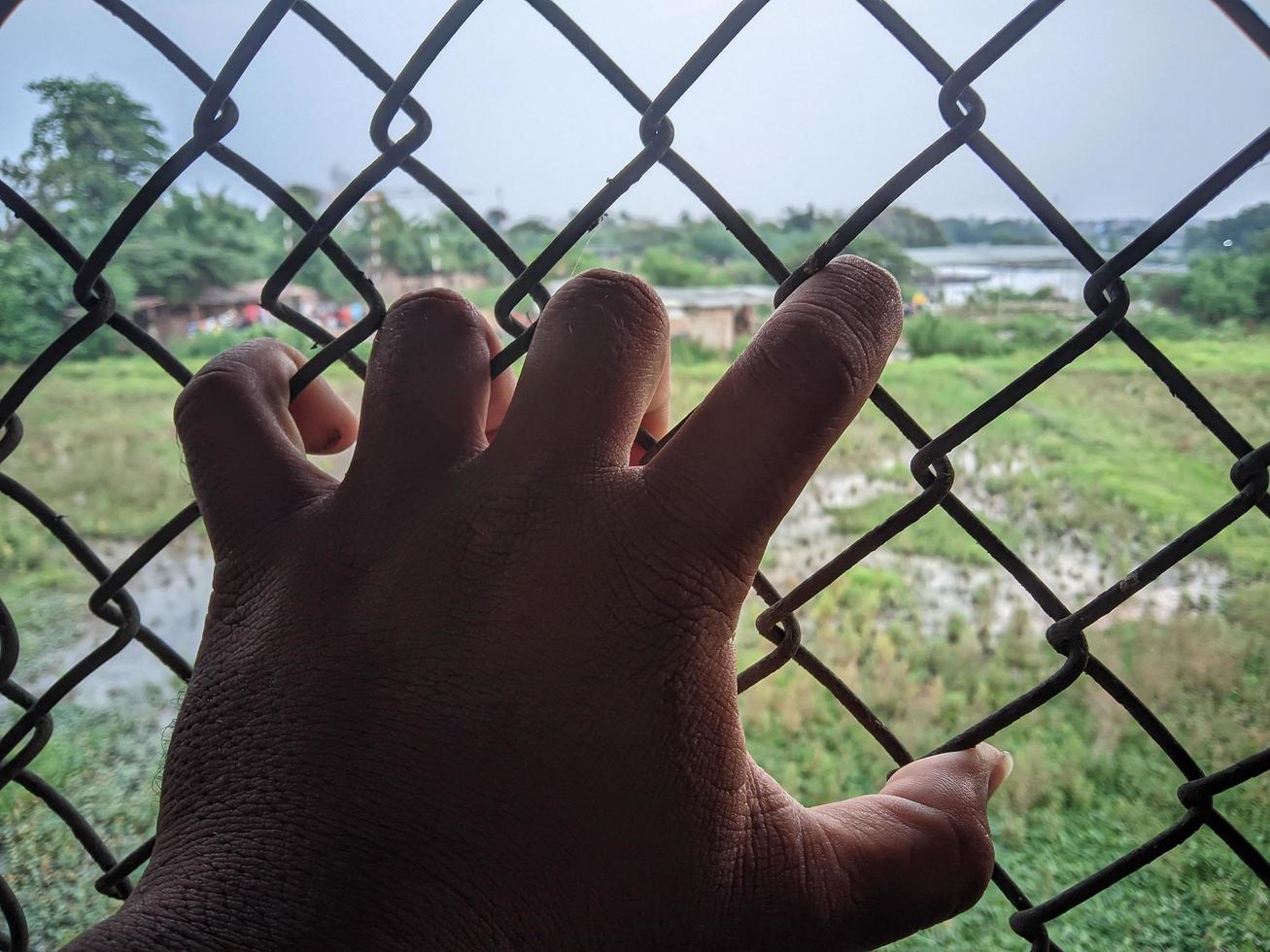 cinco dedos agarran la mano que sostiene la red de la cerca de hierro foto