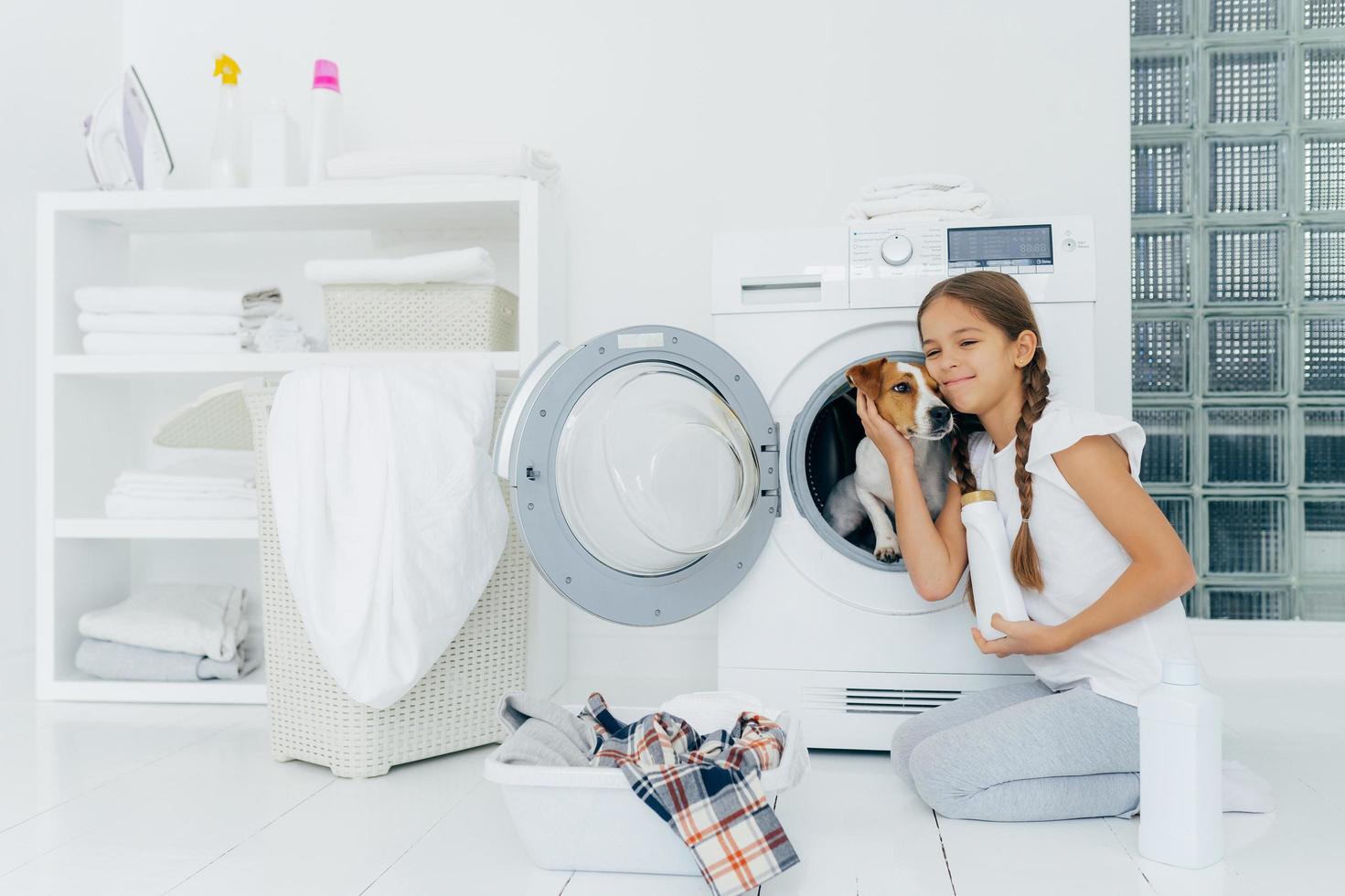 Photo of attractive girl petting pedigree dog in washing machine, holds washing detergent, going to load washer, busy with laundry and domestic chores, washes clothes at home, poses indoors.