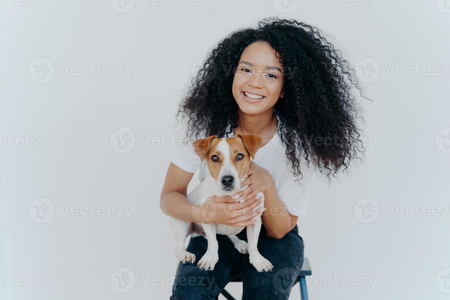 Photo of glad dark skinned female being forever together with pedigree puppy, enjoys leisure at home, sits on chair, isolated over white background. Human and animal connection. Trust and friendship