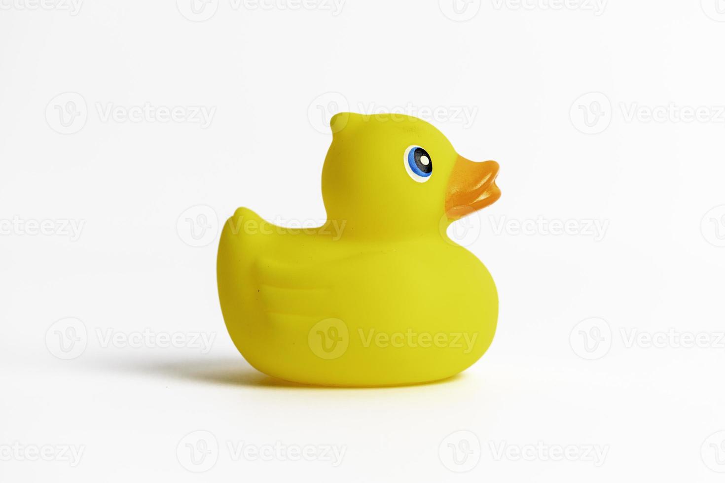 Yellow Rubber Duck photo
