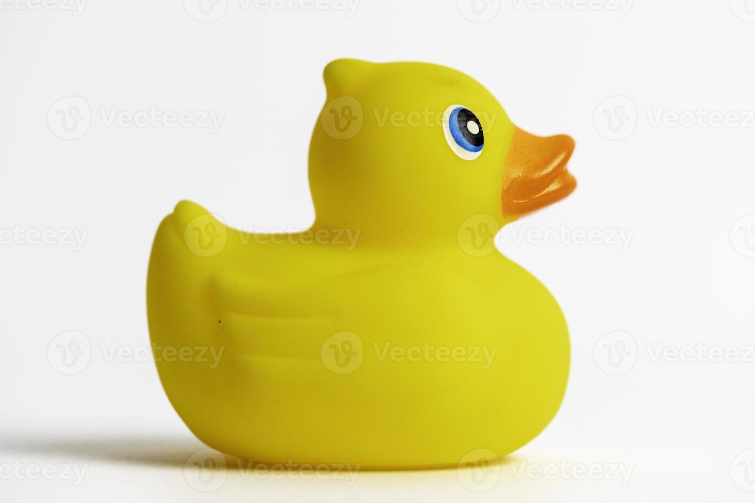 Yellow Rubber Duck photo