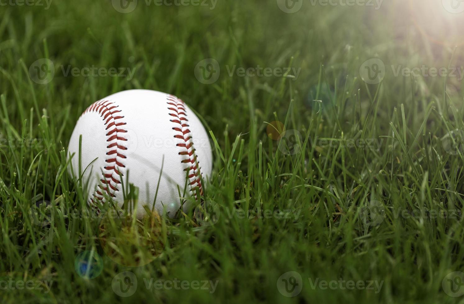 Baseball In Grass photo