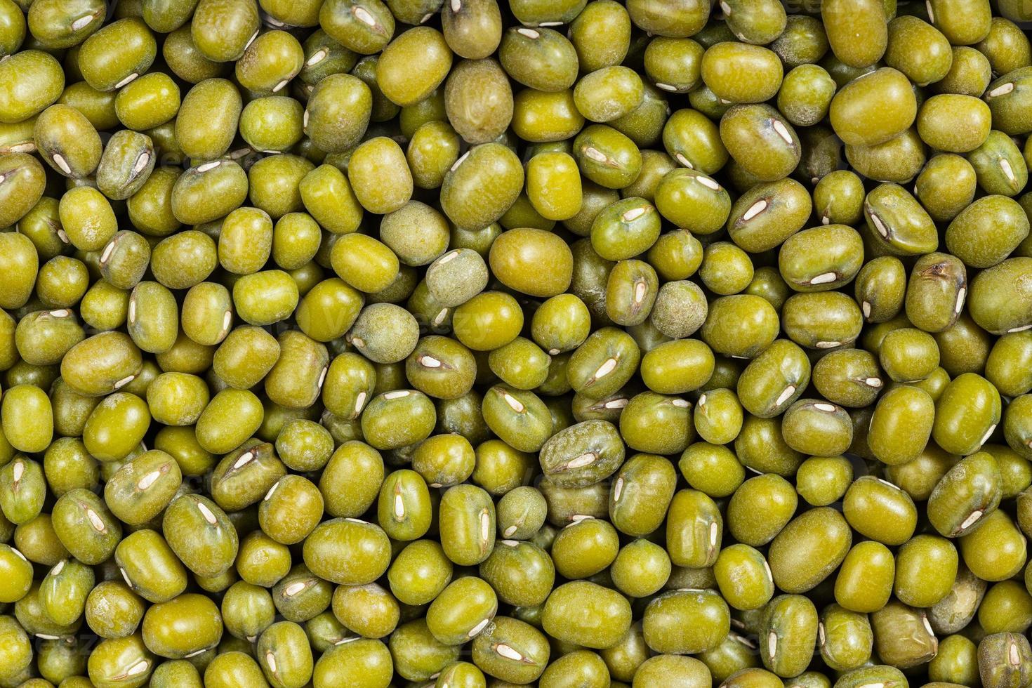 background - raw green mung beans photo