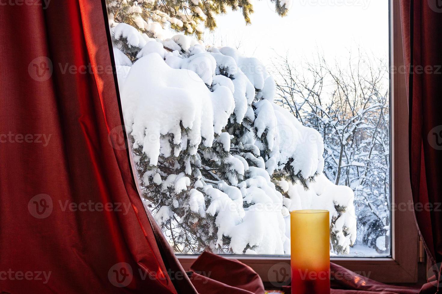 vista del pino nevado en el patio trasero en la ventana foto